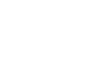 AllyAlign Health