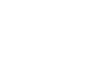 Nordic Consulting