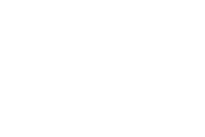 Veterinary Innovative Partners