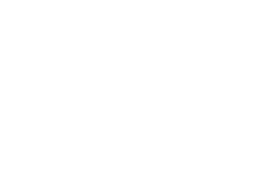 Shyft